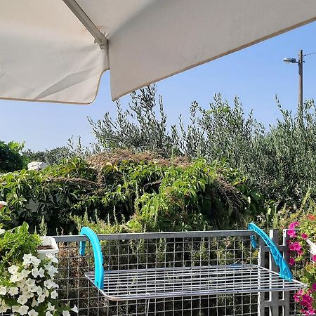 Studio Apartman Mare Trogir Eksteriør billede