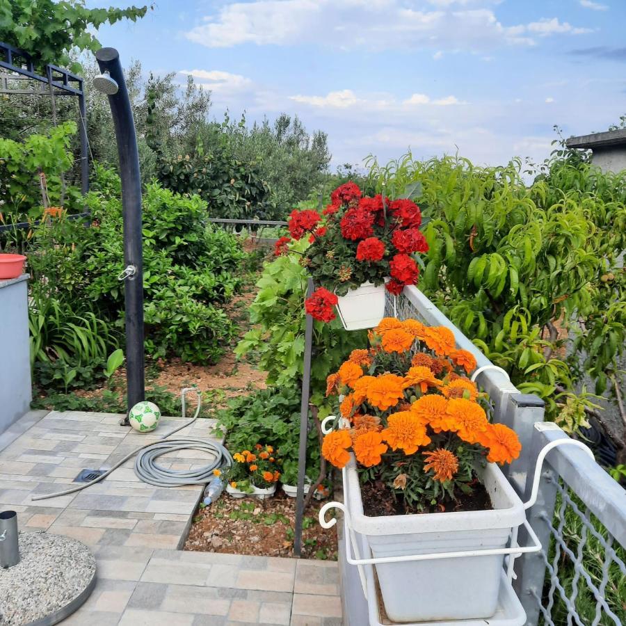 Studio Apartman Mare Trogir Eksteriør billede