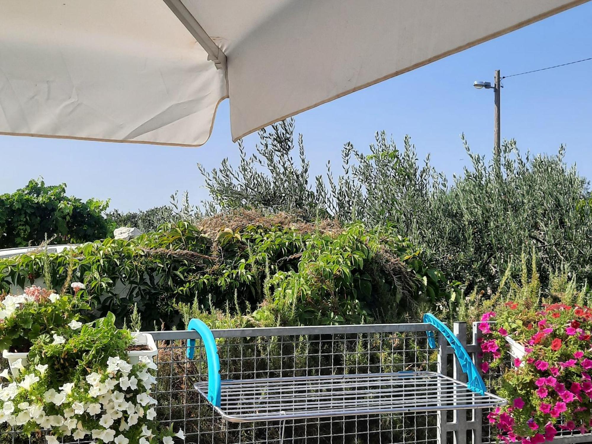 Studio Apartman Mare Trogir Eksteriør billede